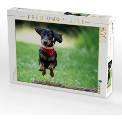 Calvendo - 4066851211312 - 1000 piezas - Animales - Puzzle Calvendo - 4066851211312 - 1000 piezas - Animales - Puzzle