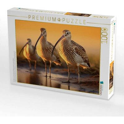 CALVENDO - Puzzle 1000pc Animals - 1000pc - Puzzle CALVENDO - Puzzle 1000pc Animals - 1000pc - Puzzle