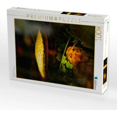 CALVENDO - Puzzle 1000 piezas - 48 x 64 cm - Puzzle CALVENDO - Puzzle 1000 piezas - 48 x 64 cm - Puzzle