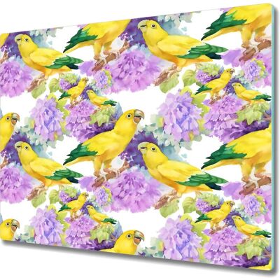 Coloray - 60x52 - Żółte Papugi - Ochrona Szkła Hartowanego Coloray - 60x52 - Żółte Papugi - Ochrona Szkła Hartowanego