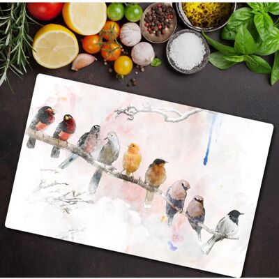 Coloray - 80x52 - oiseaux pastel - housse induction - Publicité Coloray - 80x52 - oiseaux pastel - housse induction - Publicité