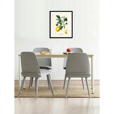 QUEENCE Zitronenbaum Wandbild - Hochformat - 50x70 cm QUEENCE Zitronenbaum Wandbild - Hochformat - 50x70 cm