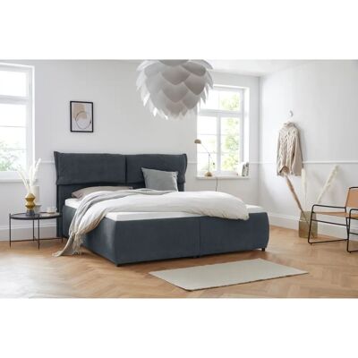 Nordic Interior Jenson Dunkelblau Weiches Bett - Bett Nordic Interior Jenson Dunkelblau Weiches Bett - Bett