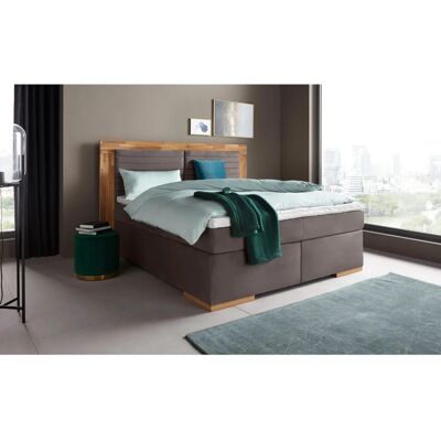 PLACES OF STYLE Cup Boxspringbett - Microfaser-Topper - LED-Beleuchtung PLACES OF STYLE Cup Boxspringbett - Microfaser-Topper - LED-Beleuchtung