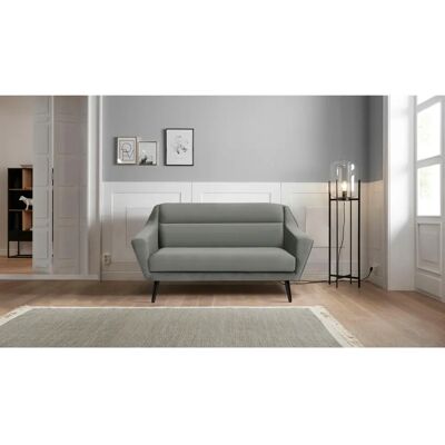ANDAS Bille Sofa - Mikrofaser, 2-Sitzer, Grau - Skandinavisches Design ANDAS Bille Sofa - Mikrofaser, 2-Sitzer, Grau - Skandinavisches Design