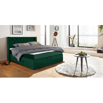 Places of Style Elegance Grün - Boxspringbett - 140x200cm, H3, Samtoptik Places of Style Elegance Grün - Boxspringbett - 140x200cm, H3, Samtoptik