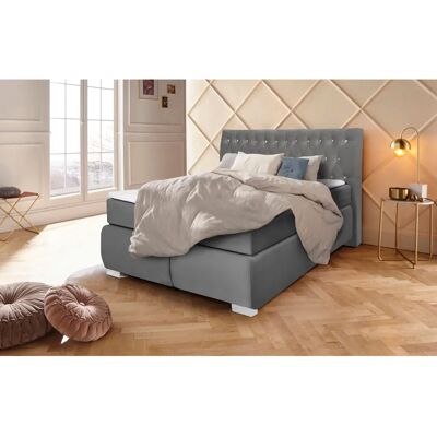 Leonique Rumba Samtboxspringbett - 140x200cm Leonique Rumba Samtboxspringbett - 140x200cm