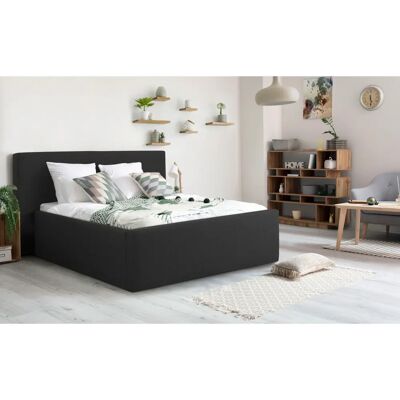 INOSIGN Dalina - Polsterbett mit geradlinigem Kopfteil - Bett INOSIGN Dalina - Polsterbett mit geradlinigem Kopfteil - Bett