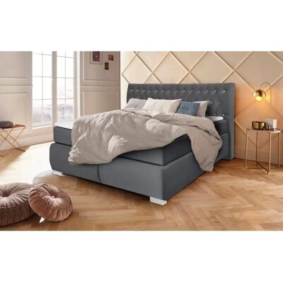 Leonique Rumba Samt-Boxspringbett - Senioren H3 Leonique Rumba Samt-Boxspringbett - Senioren H3