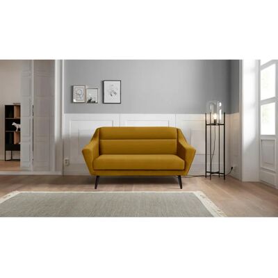 Andas Bille Samtoptik 2-Sitzer - Sofa Andas Bille Samtoptik 2-Sitzer - Sofa