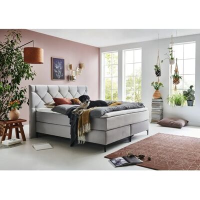 Home Affaire Aiko Haustierfreundliches Graues Boxspringbett - Schlafzimmermöbel Home Affaire Aiko Haustierfreundliches Graues Boxspringbett - Schlafzimmermöbel
