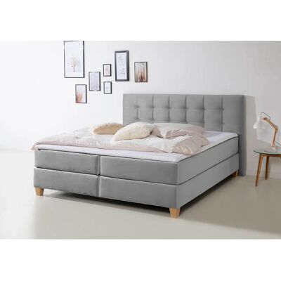HOME AFFAIRE Moulay Samt-Boxspringbett - Boxspringbett HOME AFFAIRE Moulay Samt-Boxspringbett - Boxspringbett