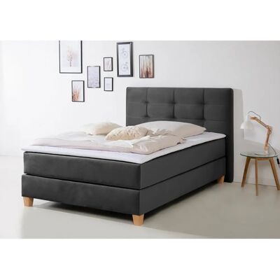 HOME AFFAIRE Moulay Samtstoff Boxspringbett - Boxspringbett HOME AFFAIRE Moulay Samtstoff Boxspringbett - Boxspringbett