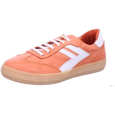 Andrea Conti Scarpe Sportive Donna - Taglia 38 EU - Scarpe Andrea Conti Scarpe Sportive Donna - Taglia 38 EU - Scarpe