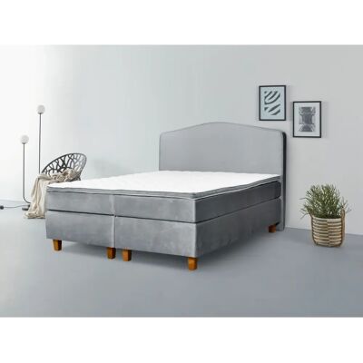 INOSIGN Jalma - Samtvelours Boxspringbett mit Taschenfederkern INOSIGN Jalma - Samtvelours Boxspringbett mit Taschenfederkern