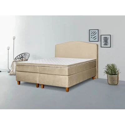 INOSIGN Jalma Samtvelours Boxspringbett - Komplett, 180x200cm INOSIGN Jalma Samtvelours Boxspringbett - Komplett, 180x200cm