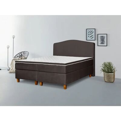 INOSIGN Jalma Boxspringbett - Samtvelours, 140x200cm, H2 INOSIGN Jalma Boxspringbett - Samtvelours, 140x200cm, H2