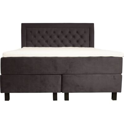 LEONIQUE Jeanne 180x200cm Samtvelours Boxspringbett - Schlafzimmermöbel LEONIQUE Jeanne 180x200cm Samtvelours Boxspringbett - Schlafzimmermöbel