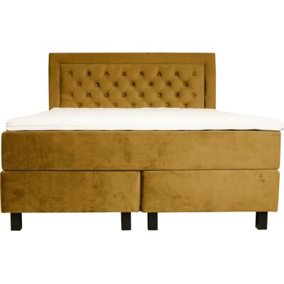 Leonique Jeanne Senfgelber Samtvelours Boxspringbett - Boxspringbett Leonique Jeanne Senfgelber Samtvelours Boxspringbett - Boxspringbett