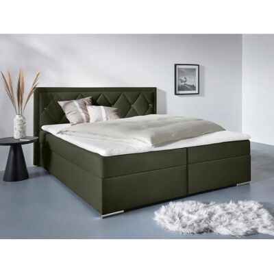 Leonique Alfie Velours Boxbett - 180x200cm - mit Stauraum Leonique Alfie Velours Boxbett - 180x200cm - mit Stauraum
