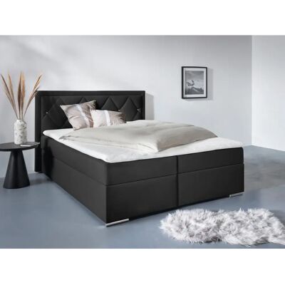 Leonique Alfie Samtvelours Boxbett mit Stauraum Leonique Alfie Samtvelours Boxbett mit Stauraum