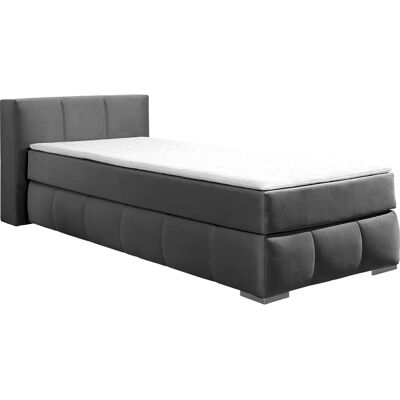 Guido Maria Kretschmer Home & Living Chelles - Grau Samtoptik Boxspringbett Guido Maria Kretschmer Home & Living Chelles - Grau Samtoptik Boxspringbett