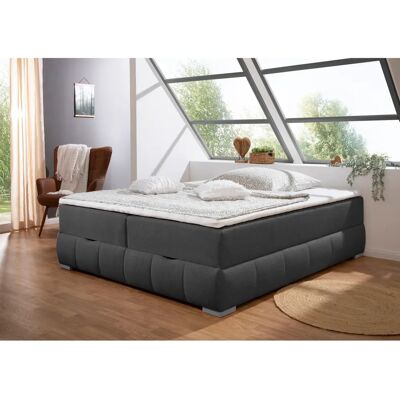 Guido Maria Kretschmer Wehma Boxbett - 200x200cm, grau Guido Maria Kretschmer Wehma Boxbett - 200x200cm, grau