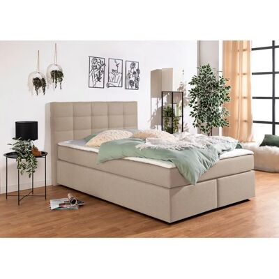 INOSIGN Ovalo Beige Boxspringbett - Boxspringbett INOSIGN Ovalo Beige Boxspringbett - Boxspringbett
