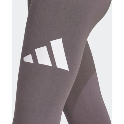 Adidas Großes Logo Hose - Pants Adidas Großes Logo Hose - Pants