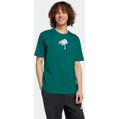 ADIDAS - M C EARTH TEE - Collegiate Grün - Baumwolle - T-Shirt ADIDAS - M C EARTH TEE - Collegiate Grün - Baumwolle - T-Shirt