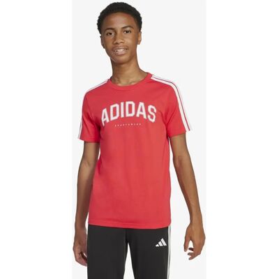 adidas Barns College Grafisk T-shirt - T-shirt adidas Barns College Grafisk T-shirt - T-shirt