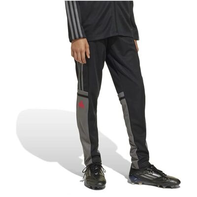 Adidas squadra25 training pants - training pants Adidas squadra25 training pants - training pants