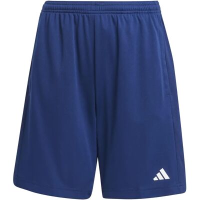 adidas Shorts Essenziali da Allenamento - Blu Scuro - Shorts adidas Shorts Essenziali da Allenamento - Blu Scuro - Shorts