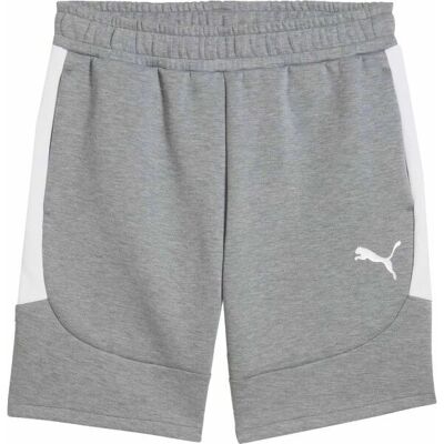 Puma Bărbați Pantaloni sport - teamEVOSTRIPE Shorts Puma Bărbați Pantaloni sport - teamEVOSTRIPE Shorts