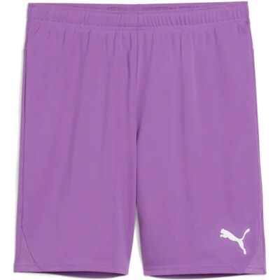 Puma Herren, Sportsbukser, teamGOAL Shorts - Sports Shorts Puma Herren, Sportsbukser, teamGOAL Shorts - Sports Shorts