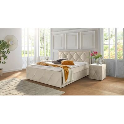 Leonique Alfie Samtvelours Boxbett - 140x200 cm, mit Stauraum, H2 Leonique Alfie Samtvelours Boxbett - 140x200 cm, mit Stauraum, H2