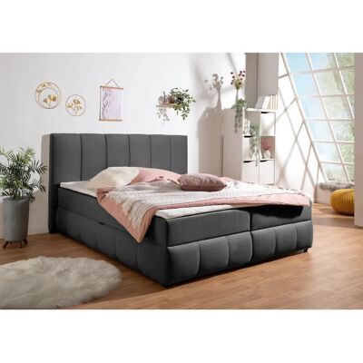 INOSIGN Hartley - Samtvelours Boxbett 160x200cm mit Stauraum INOSIGN Hartley - Samtvelours Boxbett 160x200cm mit Stauraum