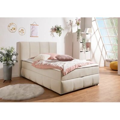 INOSIGN Hartley Samt-Boxbett - Komplett 120x200cm - Bis 80kg INOSIGN Hartley Samt-Boxbett - Komplett 120x200cm - Bis 80kg