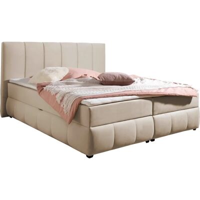 INOSIGN Hartley Beige Komplettbett - Boxbett INOSIGN Hartley Beige Komplettbett - Boxbett