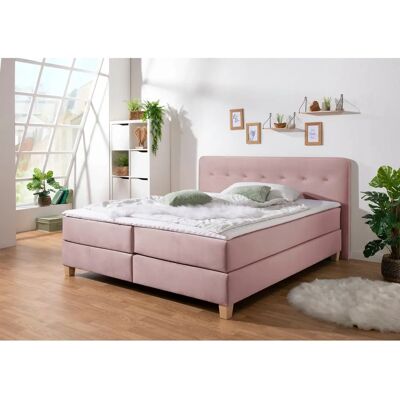 Home Affair Fargo Boxspringbett - 7-Zonen-Kaltschaummatratze - Lila Home Affair Fargo Boxspringbett - 7-Zonen-Kaltschaummatratze - Lila