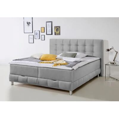 INOSIGN Vaasa Boxbett - Samtoptik, Silber, 180x200cm - Boxbett INOSIGN Vaasa Boxbett - Samtoptik, Silber, 180x200cm - Boxbett