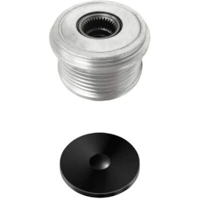 Polia de Alternator Hella - 43,1mm rotação livre - Compatibil cu Renault, Nissan Polia de Alternator Hella - 43,1mm rotação livre - Compatibil cu Renault, Nissan