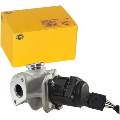 Hella 6NU 010 171-651 Elektronisk EGR-ventil - Gasrecirkulation for Ford Focus Hella 6NU 010 171-651 Elektronisk EGR-ventil - Gasrecirkulation for Ford Focus