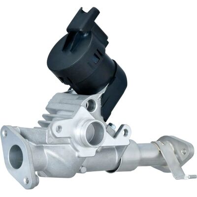 Hella Agr-Ventil 6NU 014 864-981 - EGR-Ventil Hella Agr-Ventil 6NU 014 864-981 - EGR-Ventil