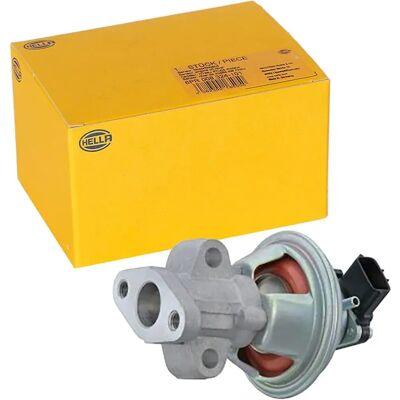 HELLA 6NU 014 865-521 EGR-Ventil - Pneumatisch-elektrisch FORD Ranger Mk2 HELLA 6NU 014 865-521 EGR-Ventil - Pneumatisch-elektrisch FORD Ranger Mk2