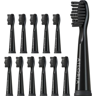 Ailoria Flash Travel Pack - Ersatzbürstenköpfe für Schallzahnbürste Ailoria Flash Travel Pack - Ersatzbürstenköpfe für Schallzahnbürste