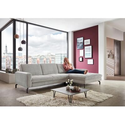 DIE PLANBAR L-Form Grau Sofa - Couch DIE PLANBAR L-Form Grau Sofa - Couch