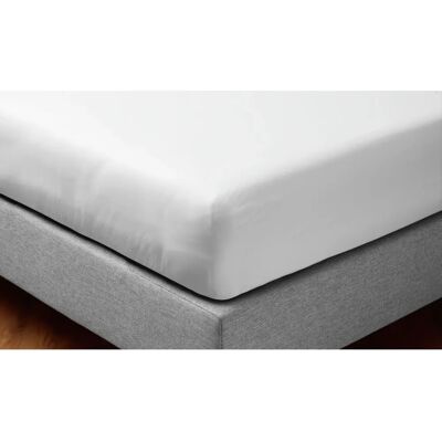 ERWIN M. Lenzuola elastiche bianche 100x200cm - Protezione materasso ERWIN M. Lenzuola elastiche bianche 100x200cm - Protezione materasso