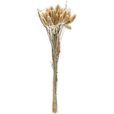 Vega - Ajda - 40 cm - naturale - Fiori secchi decorativi Vega - Ajda - 40 cm - naturale - Fiori secchi decorativi