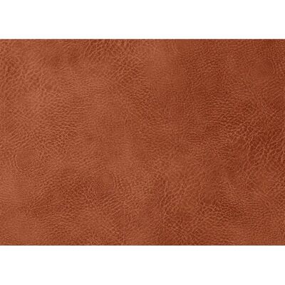 Vega Kansas/Yankee Kunstlederstoff - 137cm Breite Vega Kansas/Yankee Kunstlederstoff - 137cm Breite